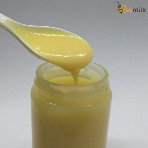 Sữa ong chúa tươi thật có màu trắng đục, đặc sệt như sữa bò