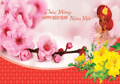 Đầu Tư Thanh - Công ty Quà tết Số 1 miền Bắc Đầu Tư Thanh - Công ty Quà tết Số 1 miền Bắc